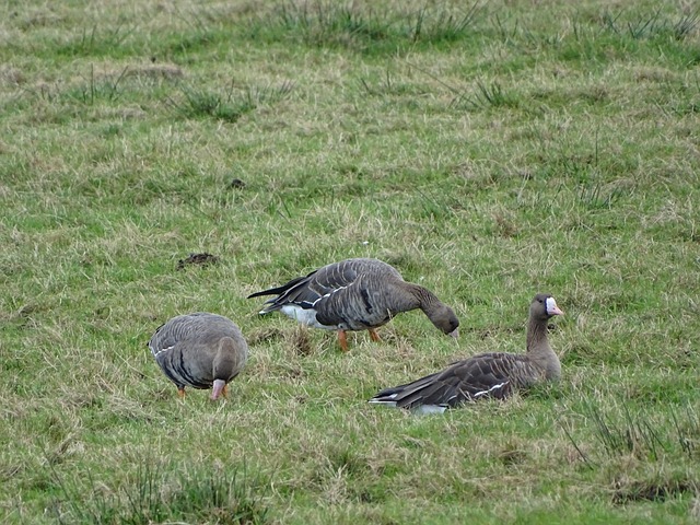探讨这一赛 探讨这一赛